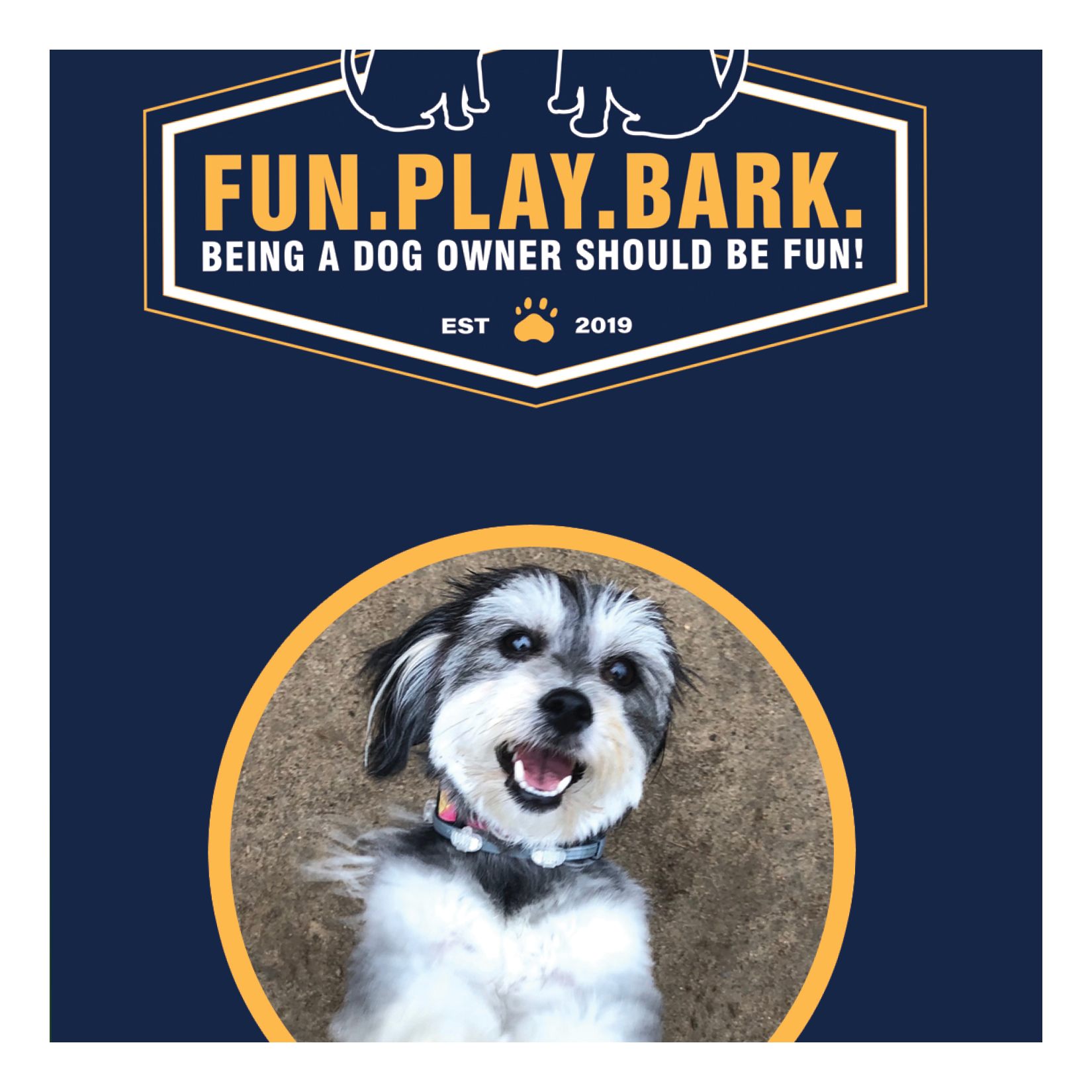 Branding – Fun. Play. Bark. and Lodge