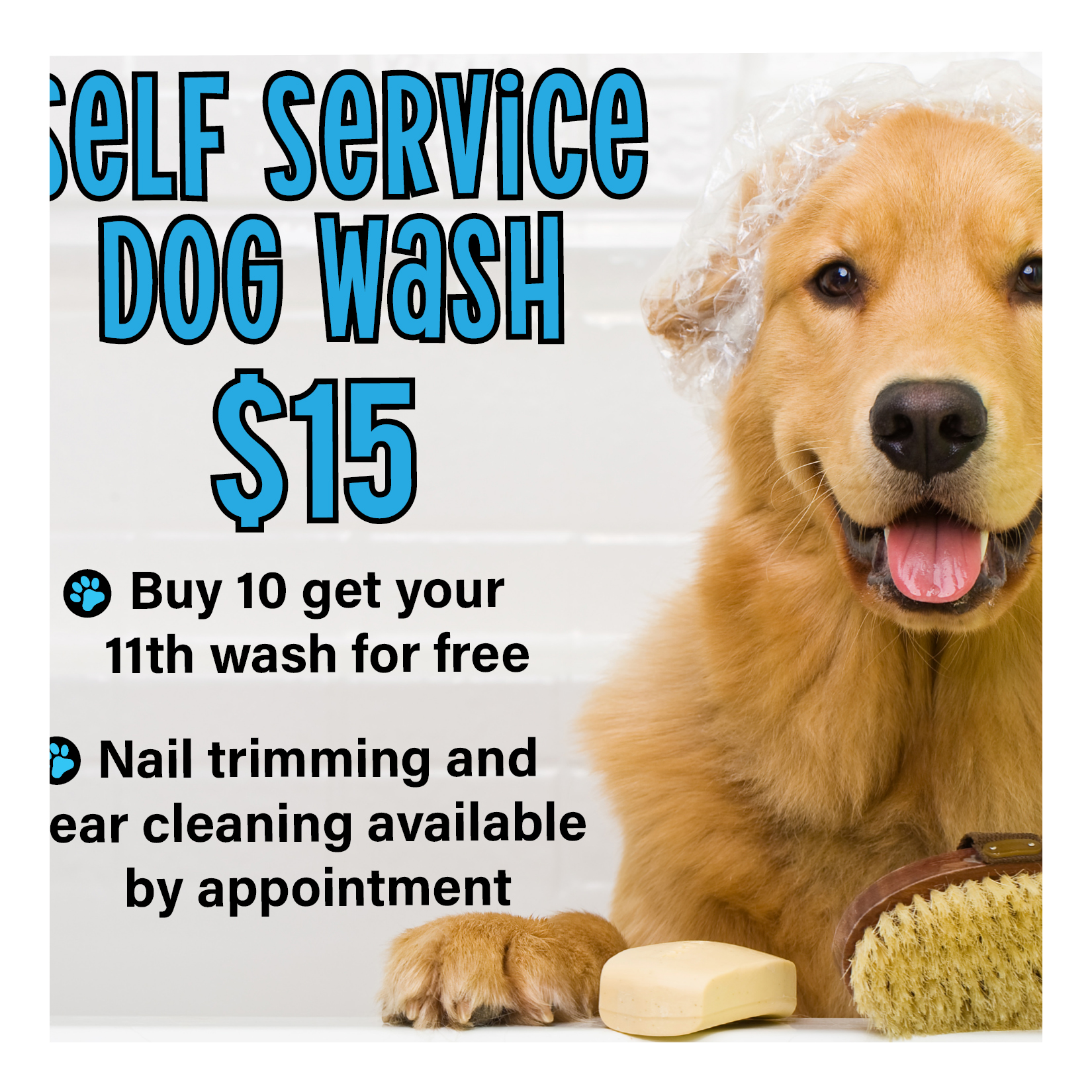 Dog Wash Poster